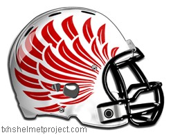 Courtesy of txhshelmetproject.com