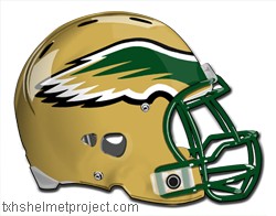 Courtesy of txhshelmetproject.com