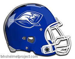 Courtesy of txhshelmetproject.com